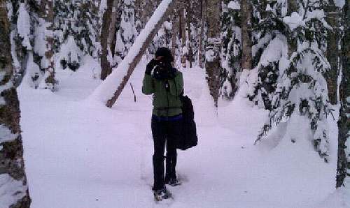 Bushwhacking in the Pemi Wilderness 2/12/11