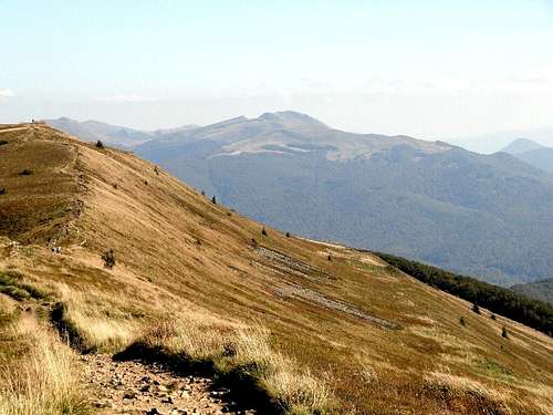 Southern slope of  Mount Połonina Caryńska