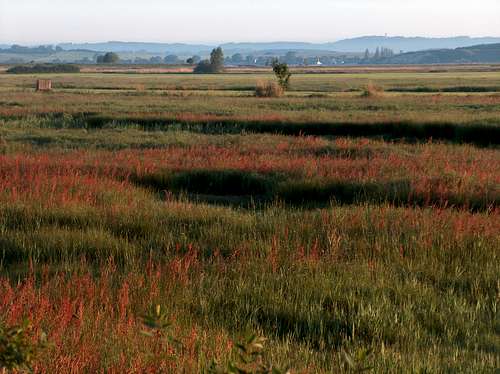 Marshes near the Zicker Hills