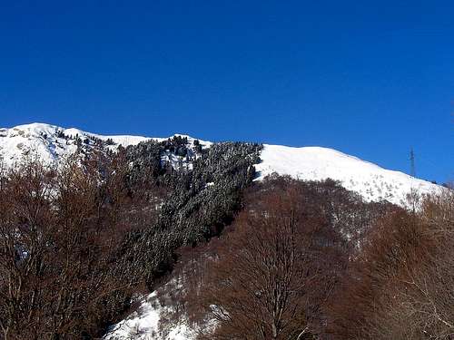 Monte Gambarogno