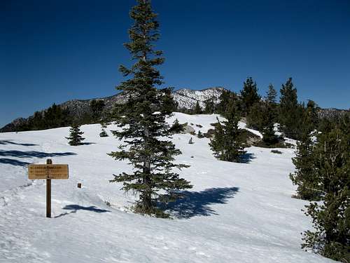 Trail junction on the PCT