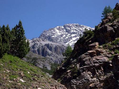 Monte Zebrù from Baita del...