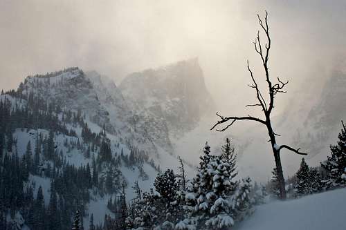 Winter Storm Over Hallett Peak