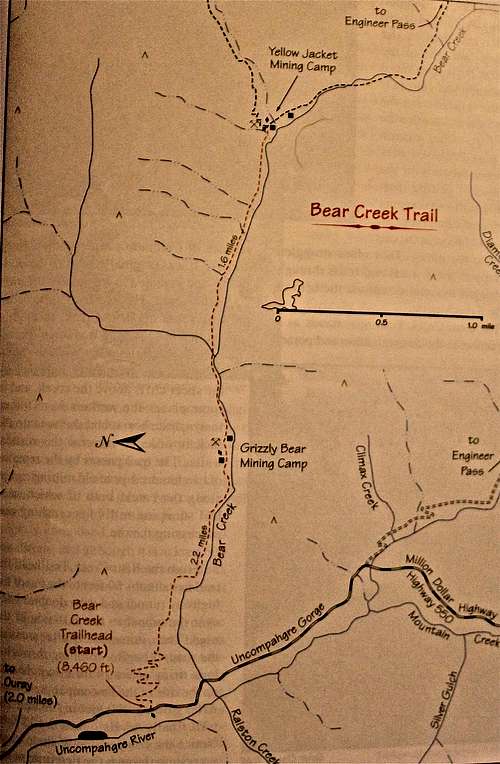 Bear creek outlet trail camp