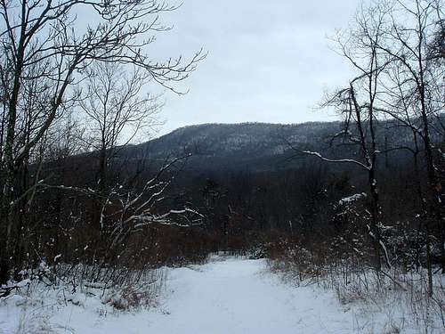 Looking South from Peter Mill Run Trail