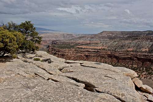 Canyon Rim Trail