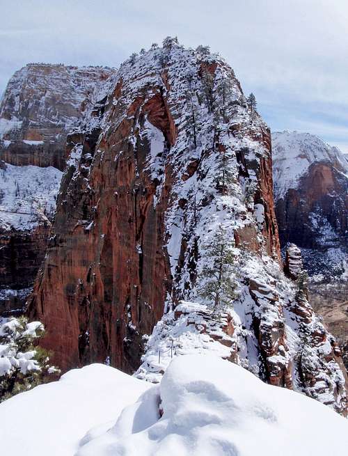 Two Climbers On Angels Landing