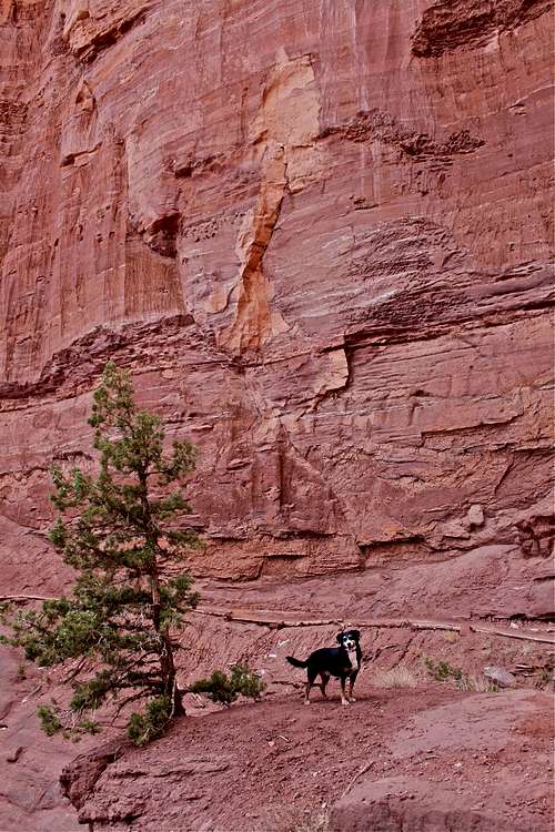 Duchess at Fisher Towers