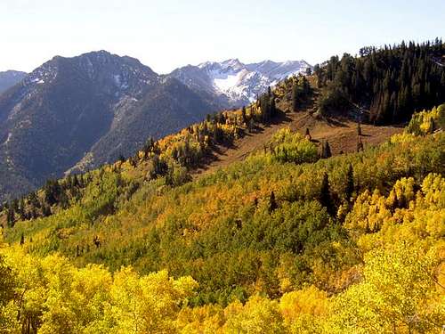 Fall colors on Mt. Raymond....