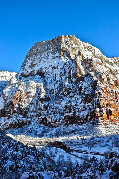 Zion In Snow