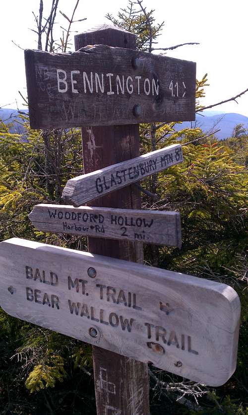 Bald Mtn Trail Junction