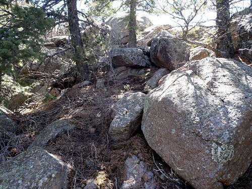 Typical off-trail terrain between the summit