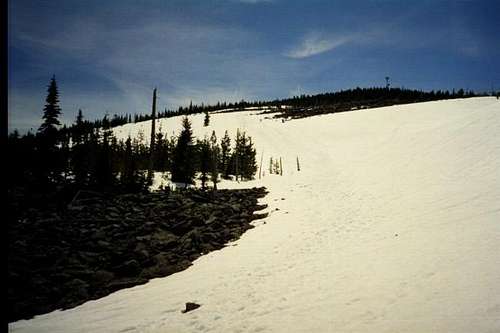 Mt. Defiance Trail