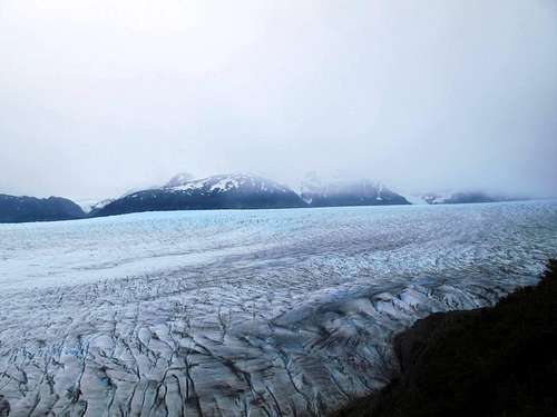 Gray's glaciar