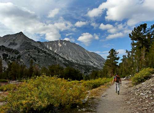 Truckin' on the Morgan Pass Trail