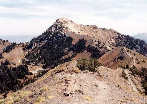 Willard Peak viewed from...