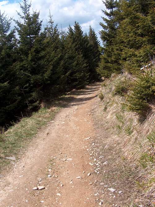 East trail to Šerák from Ramzová
