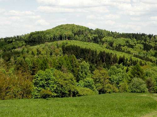 Mount Zamczyska in May