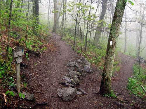 Mount Rogers / AT trails meet at Deep Gap