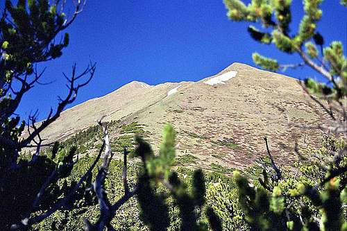 Horn Peak Trail