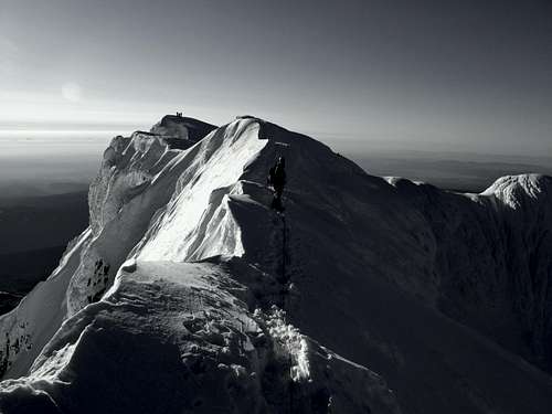 Mt. Hood (summit ridge)