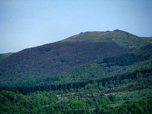 Hnatowe Berdo in Połonina Wetlińska ridge