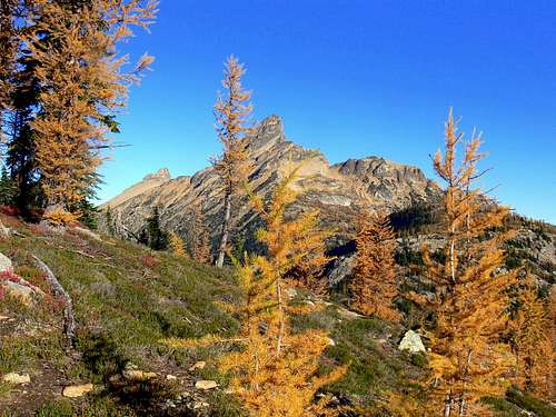 Golden Larches with Tower Mountain