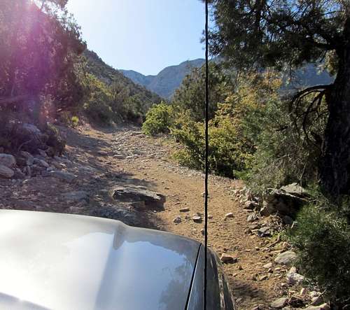 Up Elbow Canyon