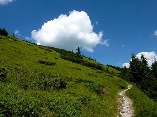 Prašiva's (1651m) slopes