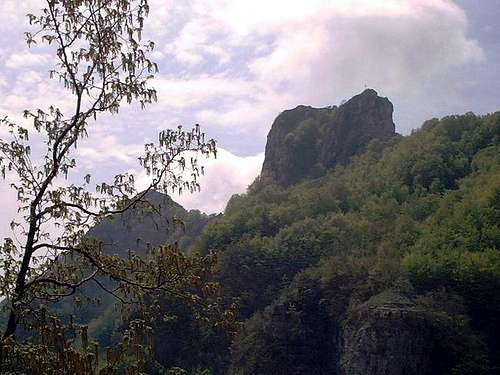 Monte Faito  (Monti Lattari)
