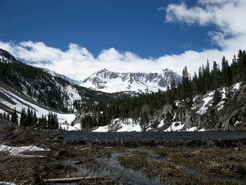 Beaver dam on McGee Creek