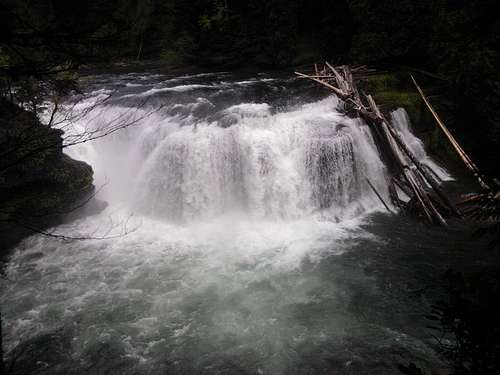 Lower Falls: Lews River - Gifford Pinchot National Forest