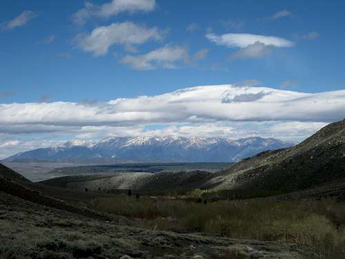 White Mountains from McGee Canyon