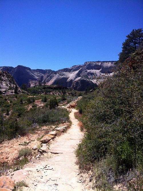 East RIM Trail Zion