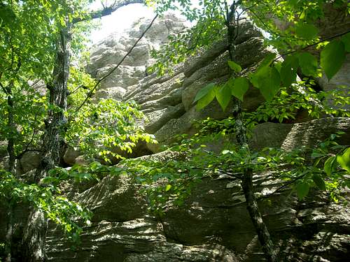 Boulders through the trees