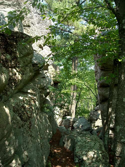 More of Lewis Rocks