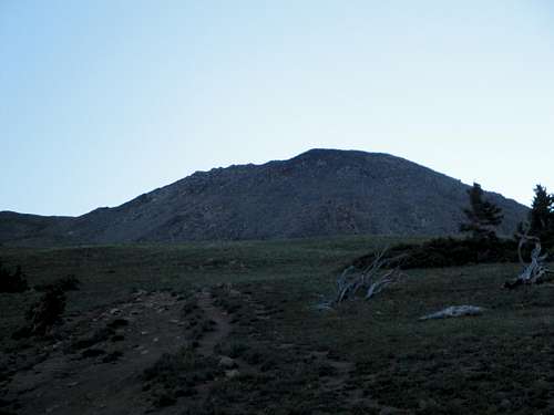 MOUNT YALE