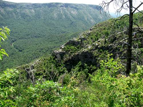 Mossy Canyon Ridge