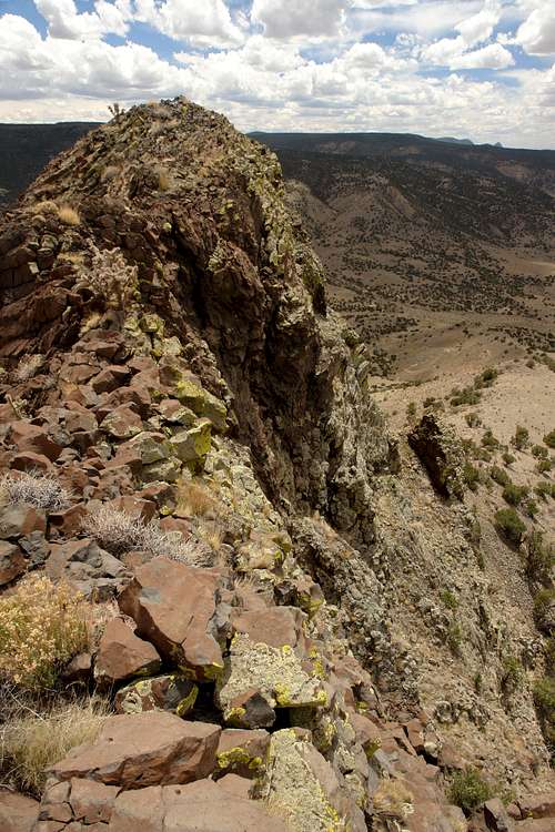Summit ridge of Cerro Parido, view SW