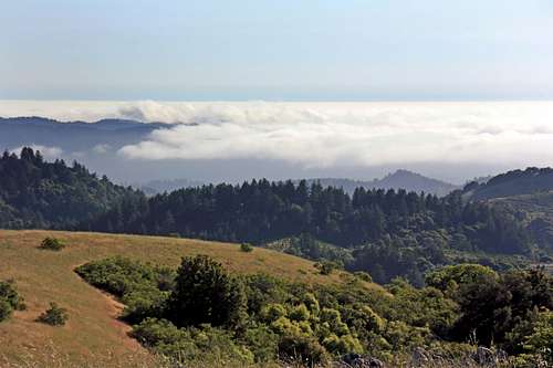 Pacific marine fog layer