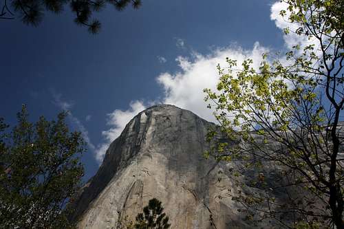From the base of El Capitan