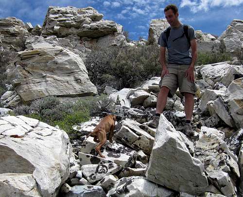 Rock climbing wonder dog