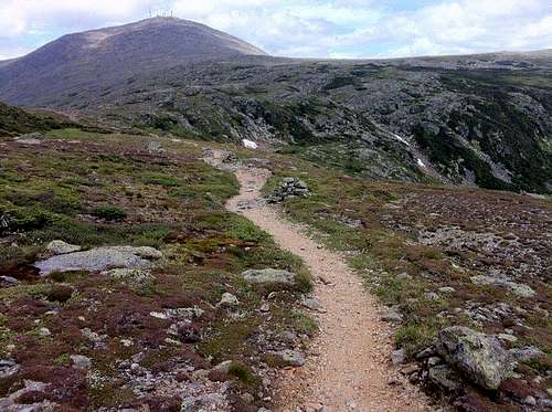 Crawford Path toward Mt Washington
