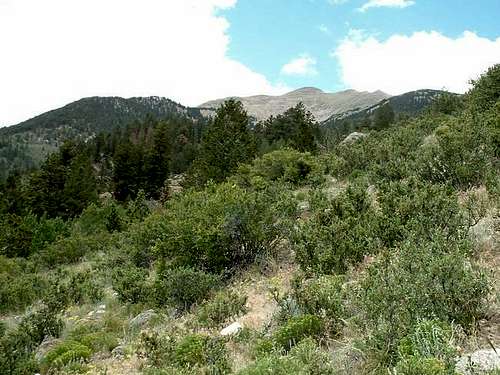 7/11/04: View of Mascot Peak...