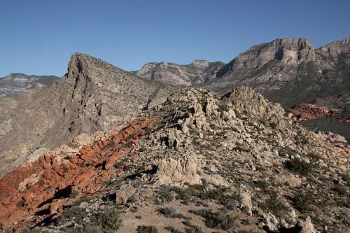 Greycap-- Summit Ridge
