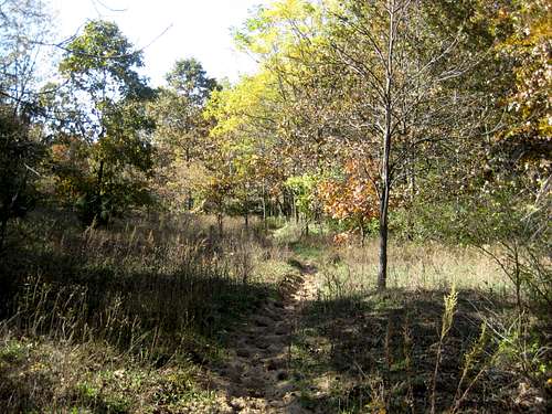 North Country Trail - Barry State Game Area (south)