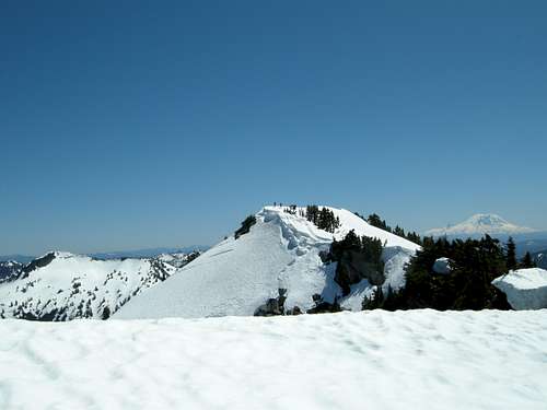Summit Ridge of Preacher Mountain
