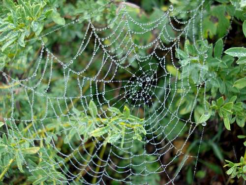 Kabash: First attempt - Spider web