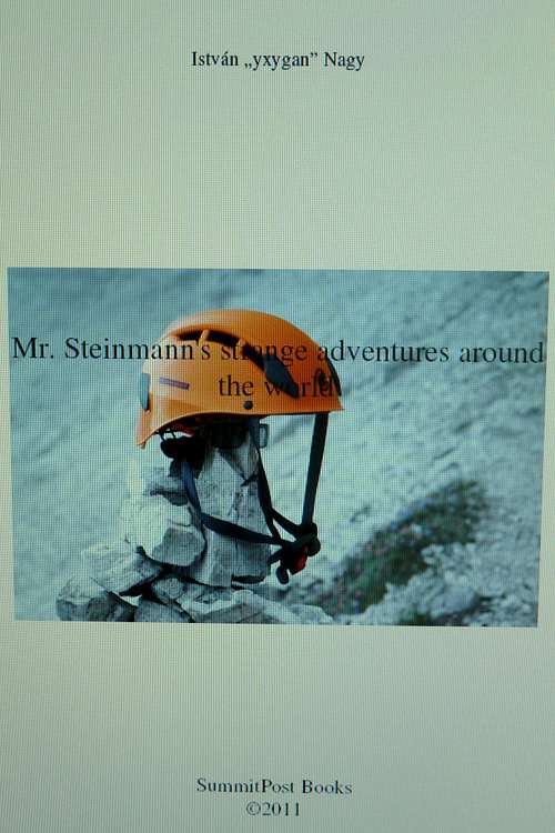 Mr. Steinmann's strange adventures around the world-cover