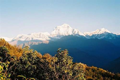 Dhaulagiri from poon hill at...
